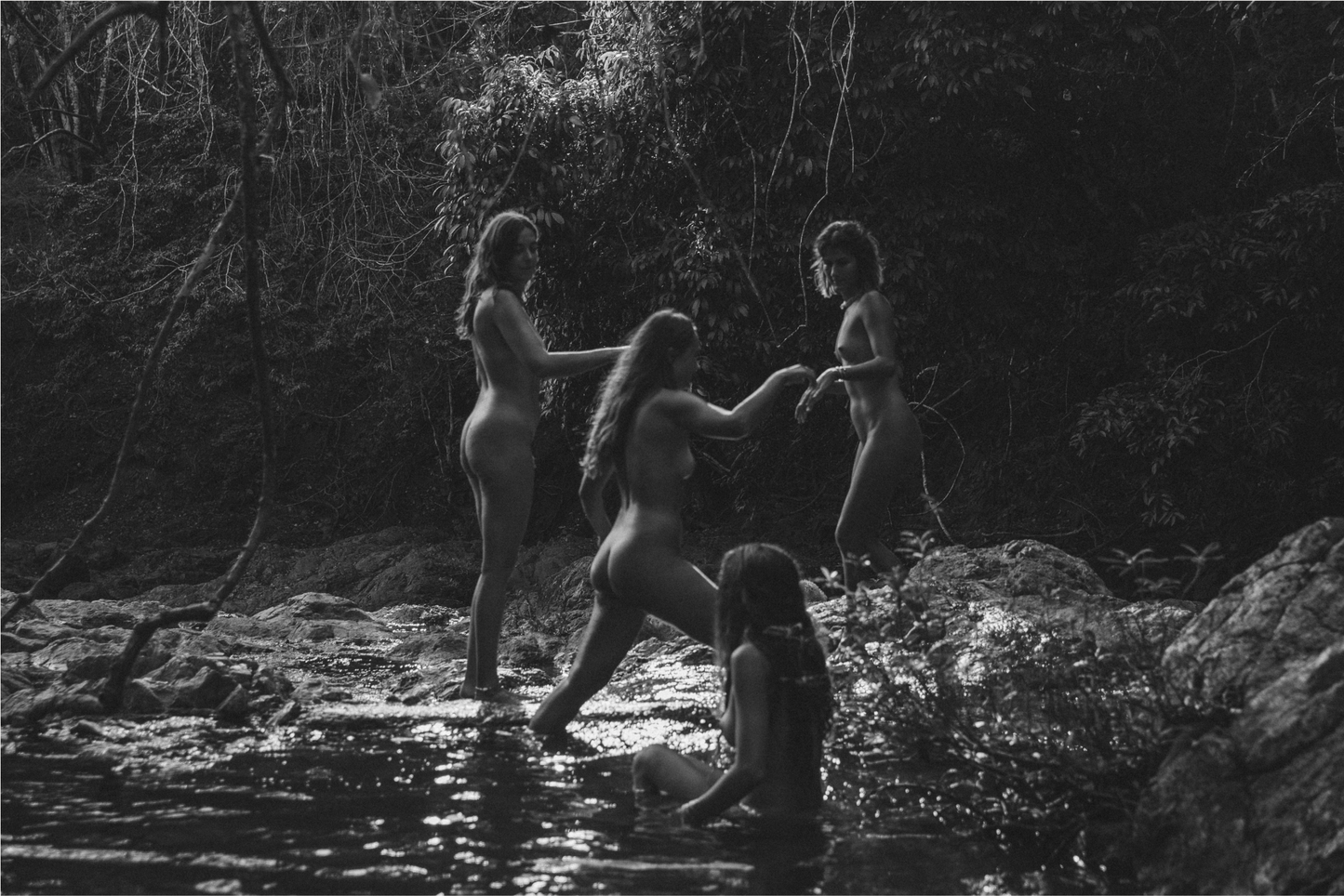 LA SELVA